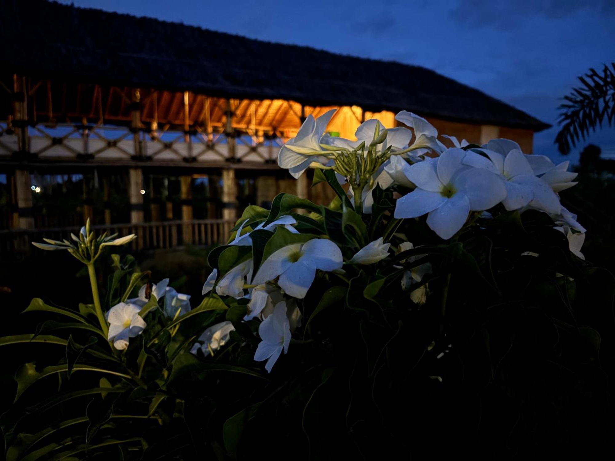Mowgli'S Cafe Hampi & Guest House Bagian luar foto